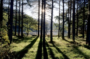 loch Lomond and Argyll National Park