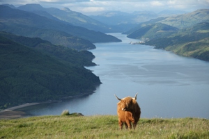 Self catering cottage near Dunoon Argyll